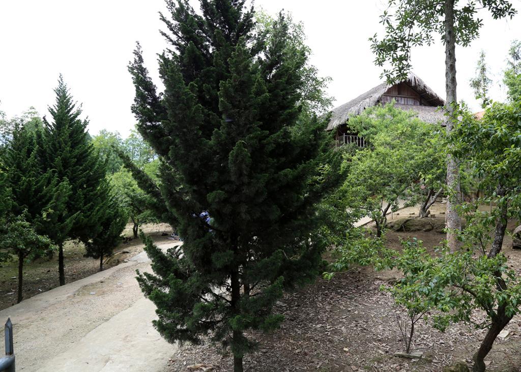 Апартаменты Sa House Bac Ha Экстерьер фото
