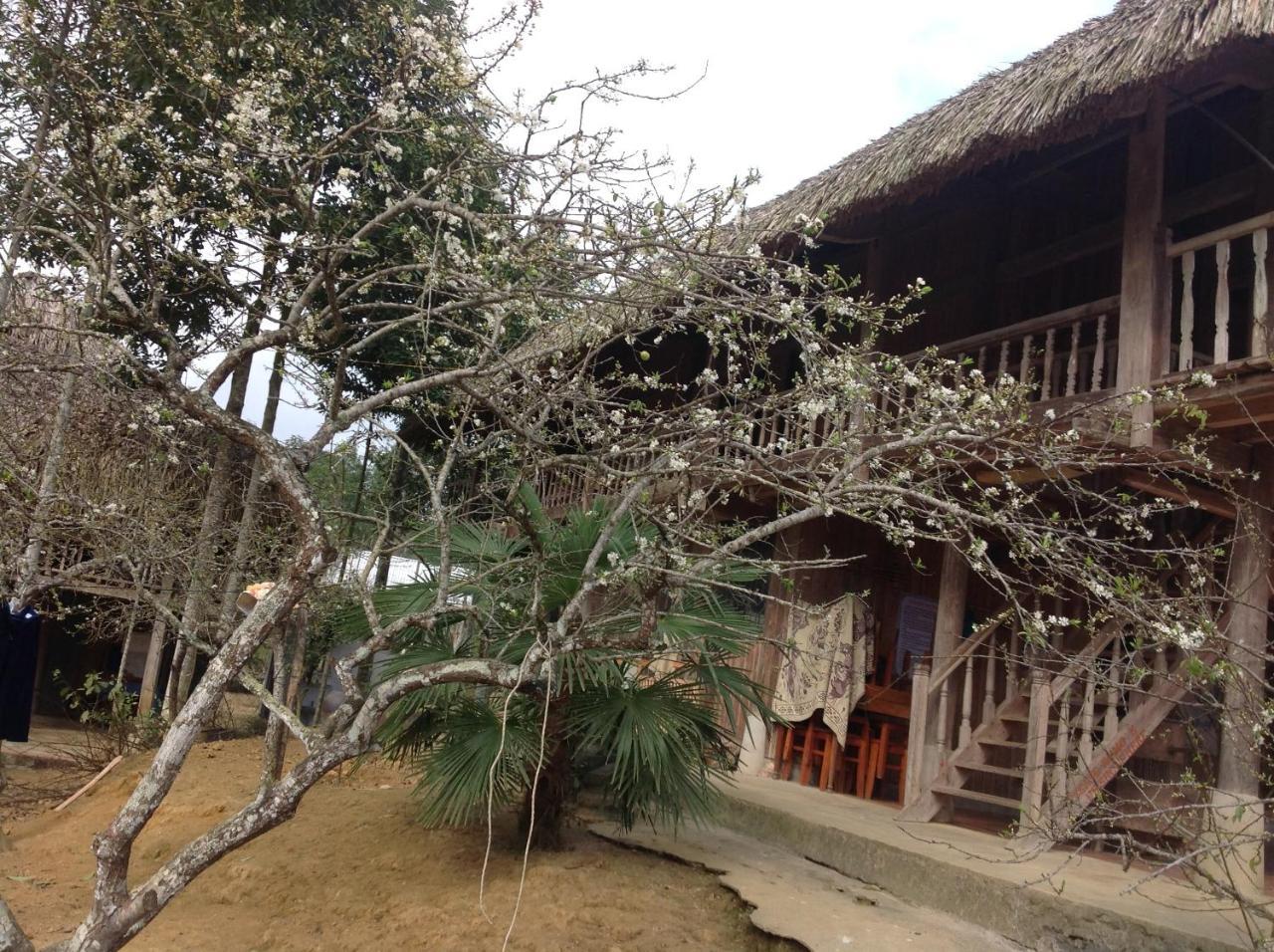 Апартаменты Sa House Bac Ha Экстерьер фото
