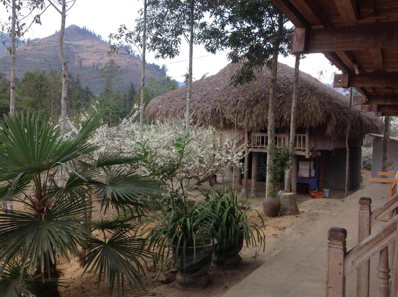 Апартаменты Sa House Bac Ha Экстерьер фото